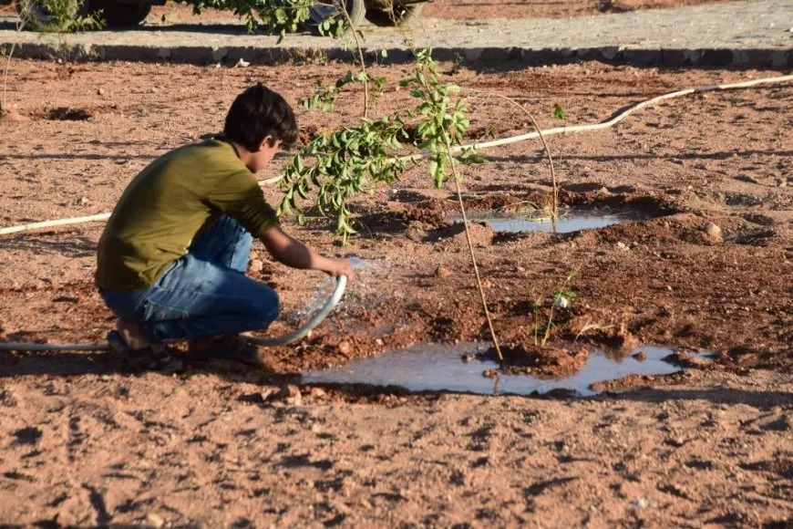 "يلا نشجرها" مبادرة شعبية في الرقة لتعزيز الغطاء النباتي للمدينة