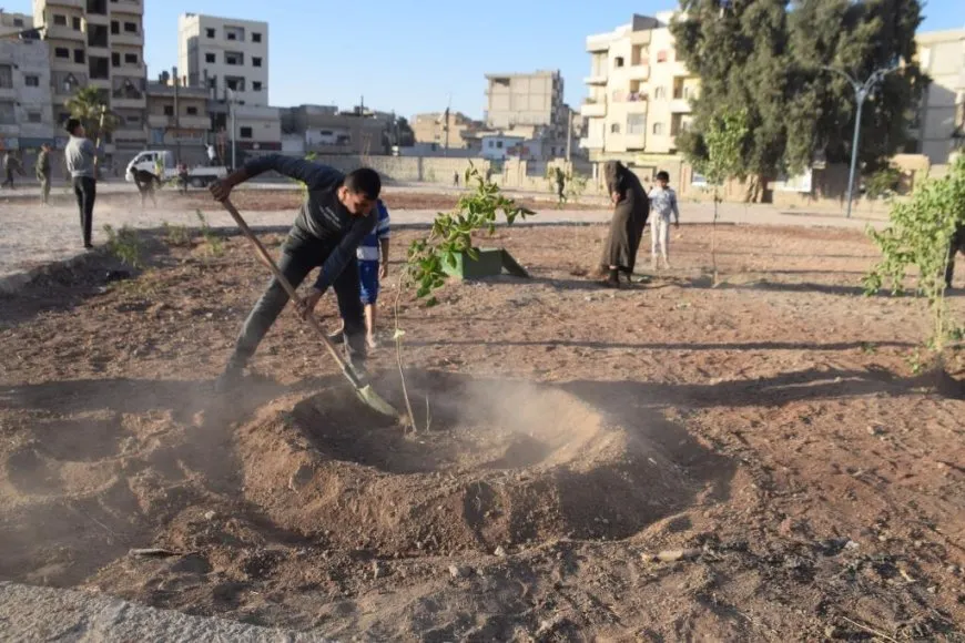 "يلا نشجرها" مبادرة شعبية في الرقة لتعزيز الغطاء النباتي للمدينة