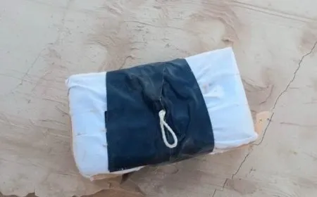 الأردن يحبط محاولة تهريب مواد مخدرة