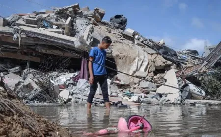 مقتل50 طفلة وطفلاً خلال الـ 48 ساعة الماضية في غزة
