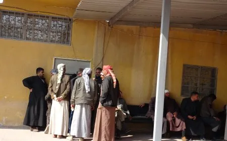 المؤسسة العامة للأقطان تباشر تسليم قيمة فواتير القطن للمزارعين