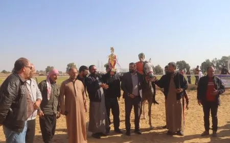 سباق للخيول الأصيلة في الرقة