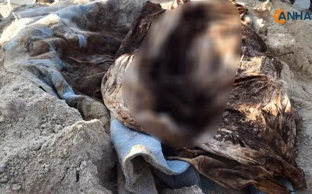 العثور على جثة يُعتقد أنها لامرأة قُتلت في مخيم الهول