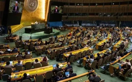 قرار أممي يؤكد حق الشعب الفلسطيني في تقرير مصيره