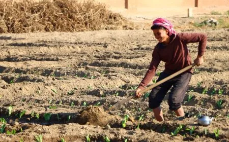 الحرارة تبقى أعلى من معدلاتها في شمال وشرق سوريا على عكس غالبية البلاد