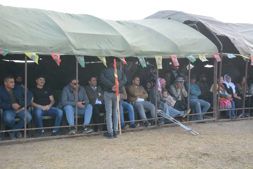 سباق للخيول الأصيلة في مقاطعة الجزيرة