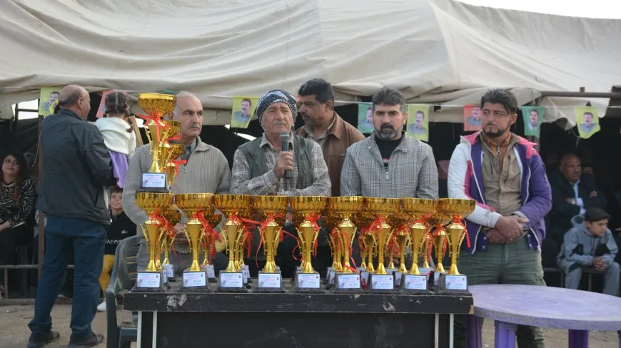 سباق للخيول الأصيلة في مقاطعة الجزيرة