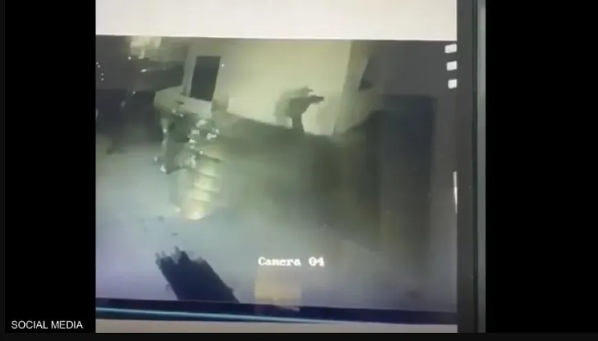 القوات الإسرائيلية تنفذ عملية إنزال جوي على شاطئ شمال لبنان