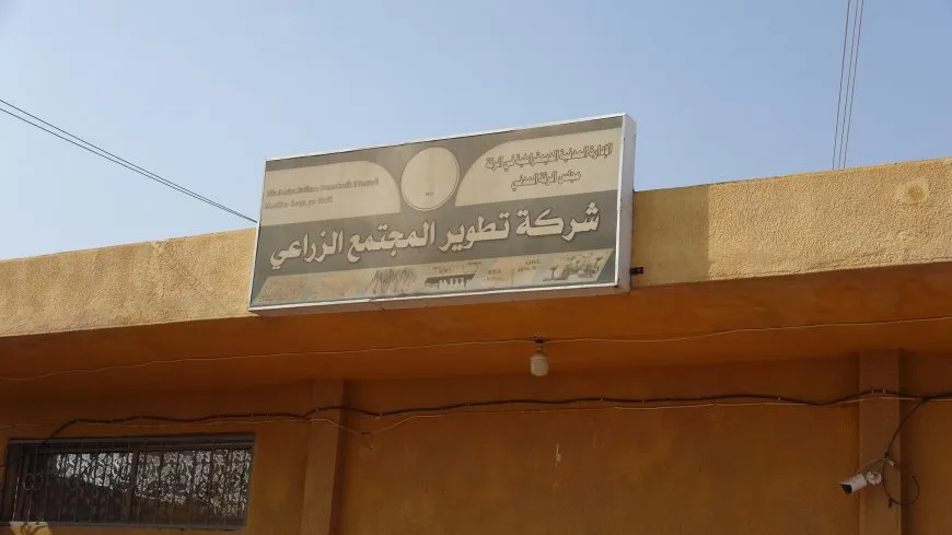 المؤسسة العامة للأقطان تباشر تسليم قيمة فواتير القطن للمزارعين