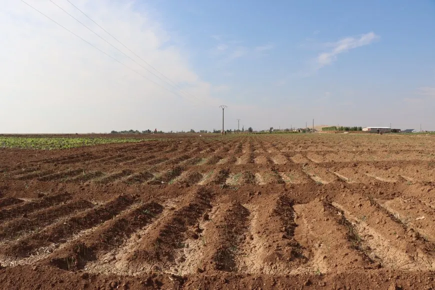 مشروع زراعي نموذجي متكامل في قامشلو