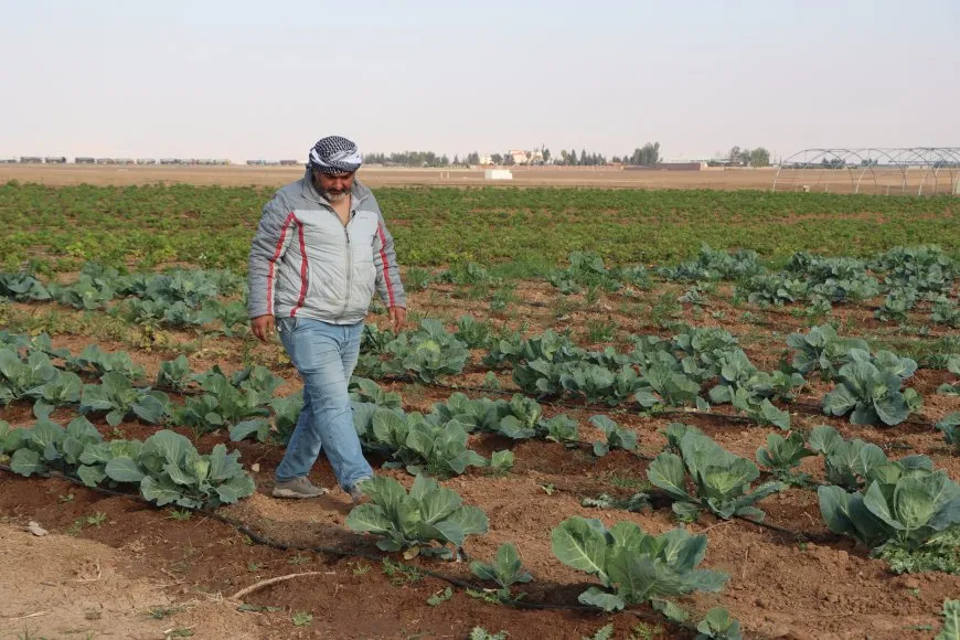مشروع زراعي نموذجي متكامل في قامشلو