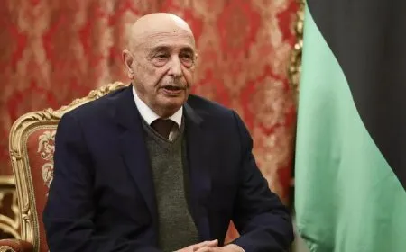 اتفاق بين عقيلة صالح والبعثة الأممية حول الحكومة والانتخابات