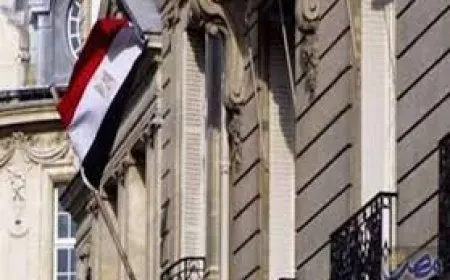 الخارجية المصرية تدعو مواطنيها لتجنب السفر إلى سوريا والحذر لمن فيها