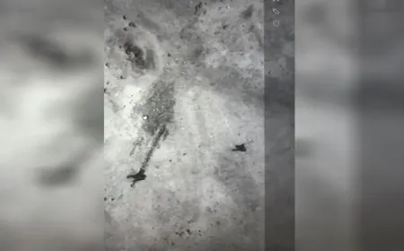 مرتزق تلو الآخر يقعون في فخ مقاتلي مجلس منبج العسكري