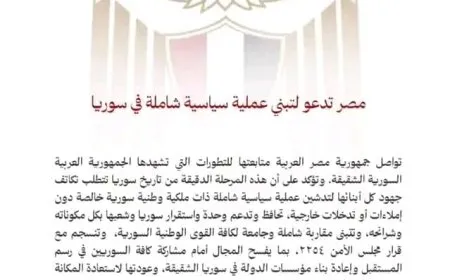 مصر تدعو لتبني عملية سياسية شاملة في سوريا 