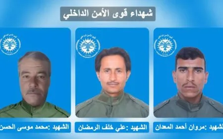 قوى الأمن الداخلي تكشف سجل 3 من أعضائها