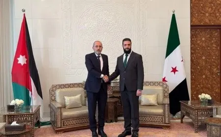 الصفدي يصل إلى دمشق