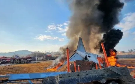 فقدان 85 شخصاً على الأقل حياتهم بتحطم طائرة في كوريا الجنوبية