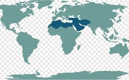 نظريةُ الأمةِ الديمقراطيةِ هي عنصرُ الحلِّ الرئيسيِّ في العصرانيةِ الديمقراطية