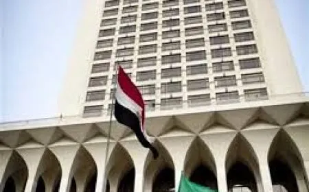 الخارجية المصرية تدعو لتبني عملية شاملة في سوريا دون إقصاء أحد