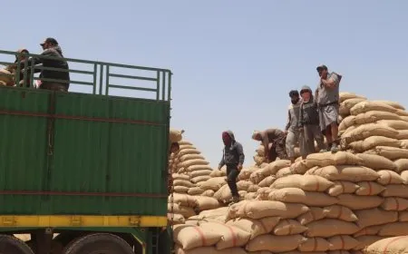 لجنة الصوامع: احتياطي الرقة من مادة القمح يصل إلى 110 آلاف طن