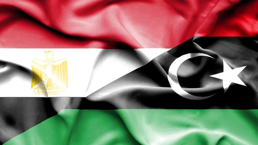 مصر تدعو لخروج جميع القوات الأجنبية والمرتزقة من ليبيا