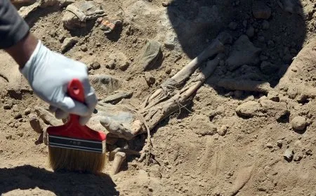 العثور على مقبرة جماعية لضحايا أعدمهم مرتزقة داعش في كركوك