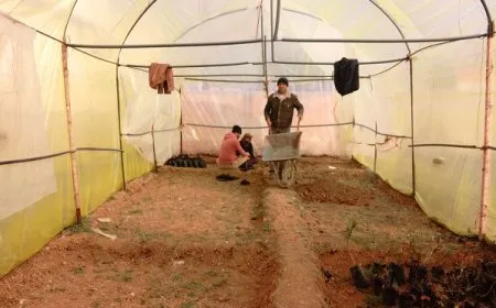 مشروع بيئي لتوسيع وزيادة الغطاء النباتي في مدينة جل آغا