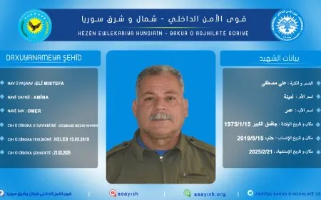 قوى الأمن الداخلي تكشف سجلّ أحد أعضائها