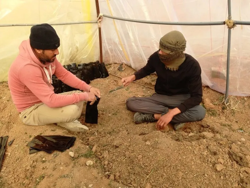 مشروع بيئي لتوسيع وزيادة الغطاء النباتي في مدينة جل آغا