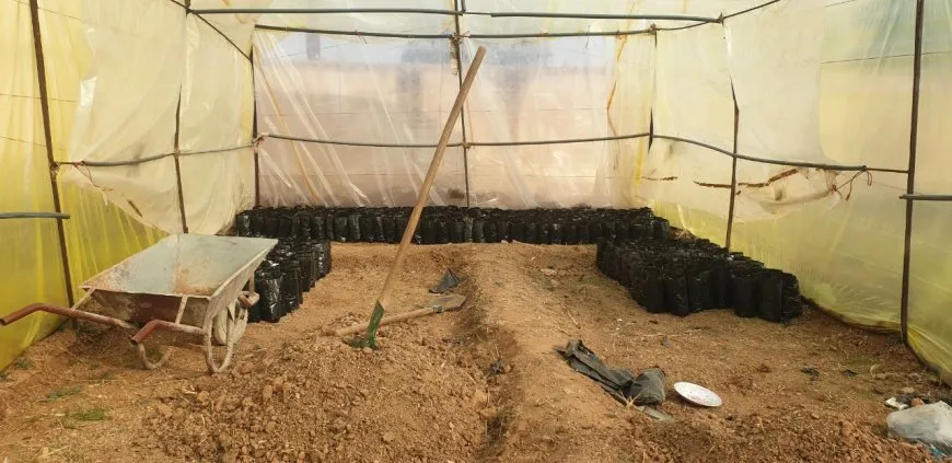 مشروع بيئي لتوسيع وزيادة الغطاء النباتي في مدينة جل آغا