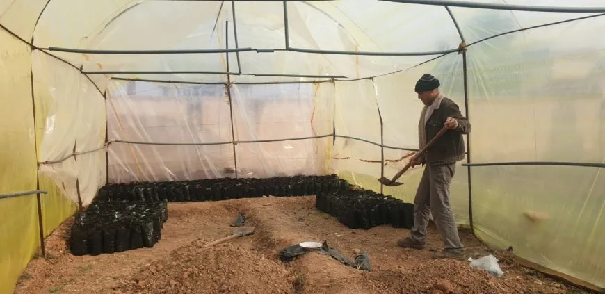 مشروع بيئي لتوسيع وزيادة الغطاء النباتي في مدينة جل آغا