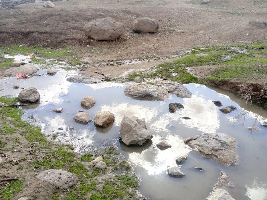الأمطار تعيد الحياة إلى ريف مقاطعة الجزيرة بعد موجة جفاف طويلة