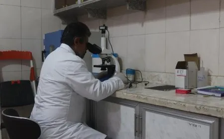 الحمّى القلاعية: نسبة الإصابة طبيعية في الرقة ونصائح لحماية الماشية