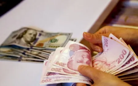 الليرة التركية تتراجع إلى مستوى غير مسبوق