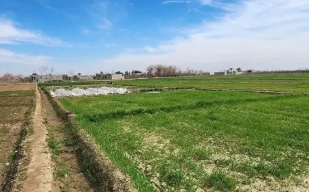 أجواء ربيعيّة مستقرة ومؤشرات على تقلبات جوية قادمة