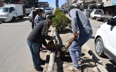 بلدية الشعب تطلق حملة تشجير في مدينة كركي لكي 