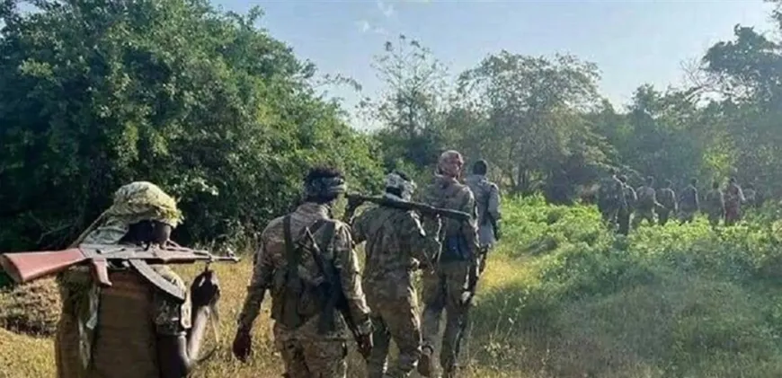 الصومال يُعلن مقتل 82 مرتزقاً في غارات جوية