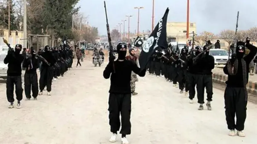 باحث: للقضاء على داعش يجب مواجهته عسكرياً وأمنياً وفكرياً