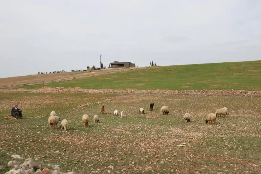 كوباني.. حين يزهر الربيع وتتجلى الطبيعة