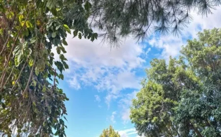 أجواء مشمسة ومنخفض جوي مرتقب