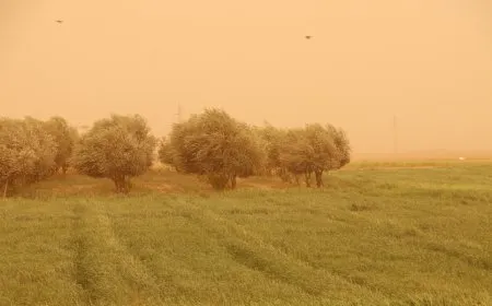 عاصفة غبارية تضرب الحسكة وتل براك