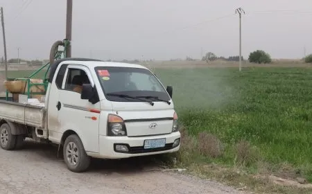 مجلس الاقتصاد والزراعة في الرقة يباشر خطة لمكافحة السونة