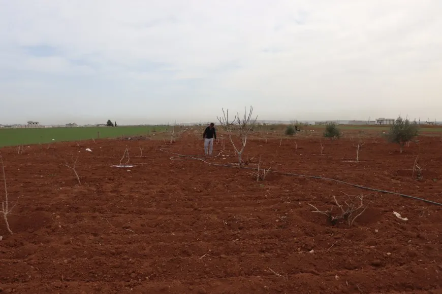 الجفاف وهجمات الاحتلال يتسببان بتدمير الزراعة وتربية الحيوان