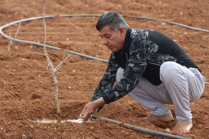 الجفاف وهجمات الاحتلال يتسببان بتدمير الزراعة وتربية الحيوان