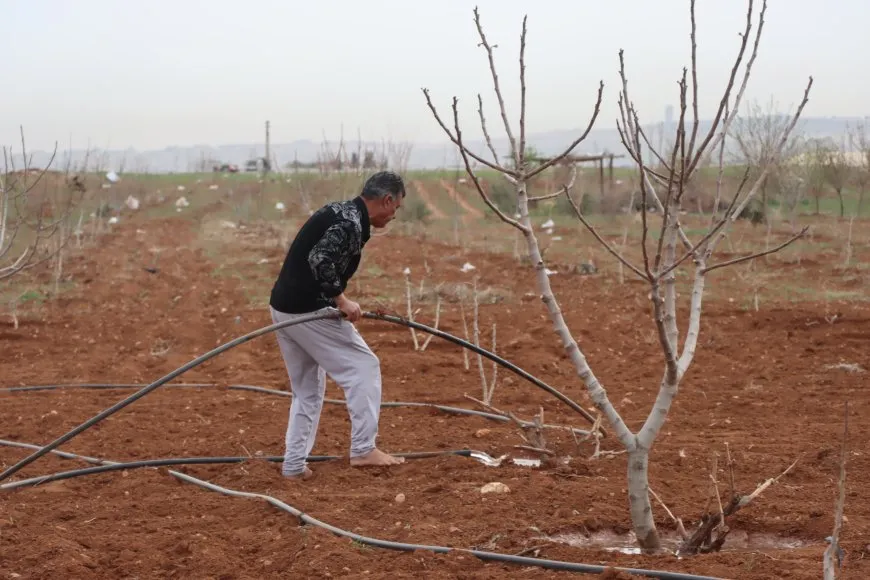 الجفاف وهجمات الاحتلال يتسببان بتدمير الزراعة وتربية الحيوان