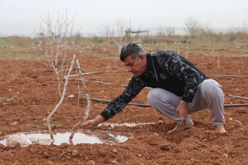 الجفاف وهجمات الاحتلال يتسببان بتدمير الزراعة وتربية الحيوان