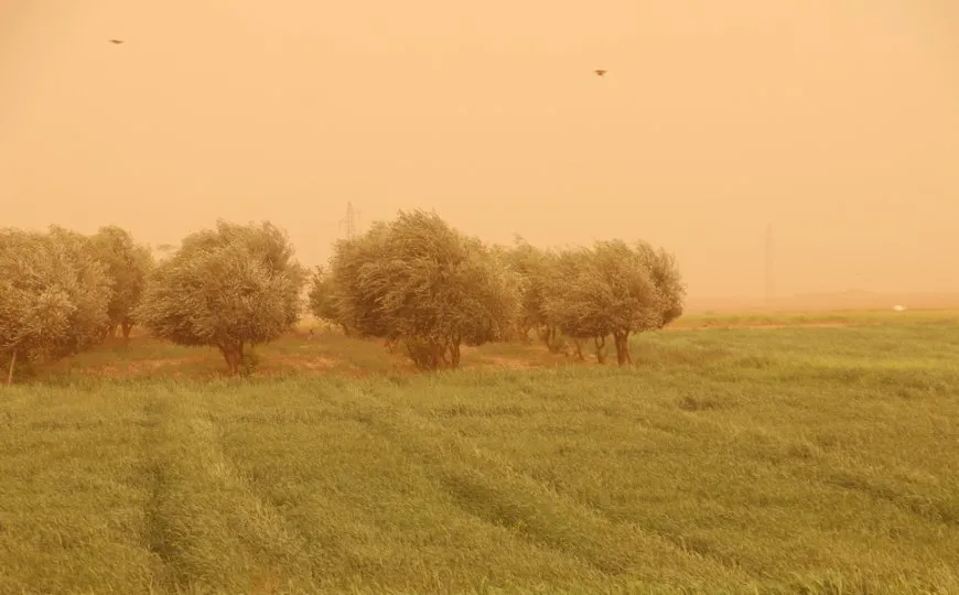 عاصفة غبارية تضرب الحسكة وتل براك