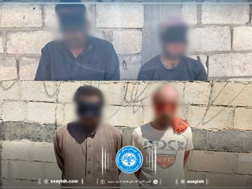 القبض على 4 من مرتزقة داعش في عمليات التمشيط بمخيم الهول