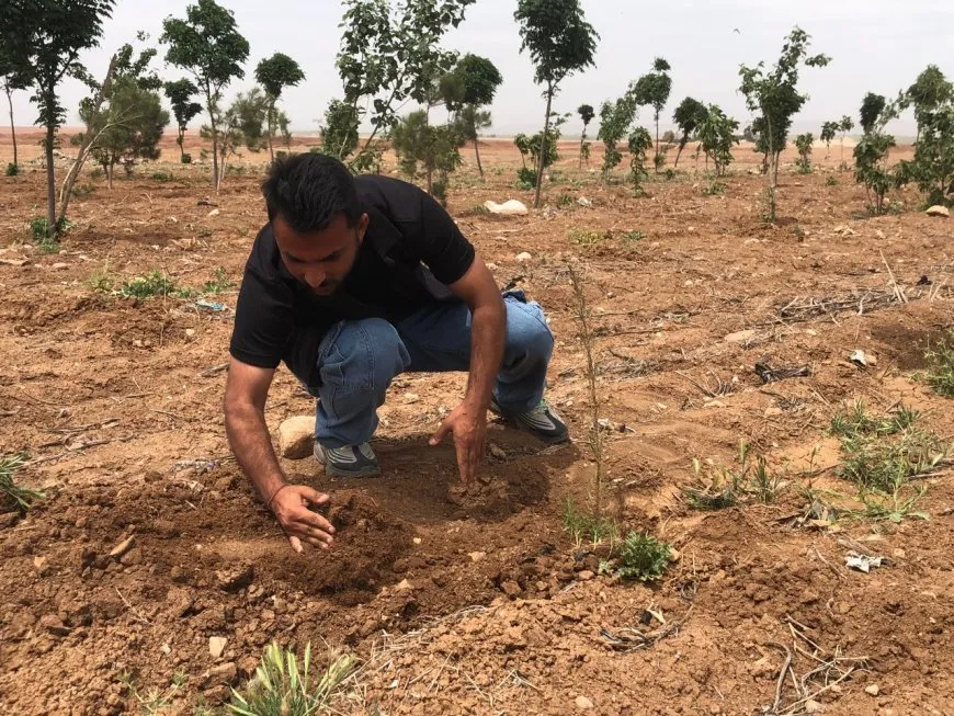 مكبّ النفايات يتحوّل إلى رئة خضراء...300 غرسة جديدة في قامشلو